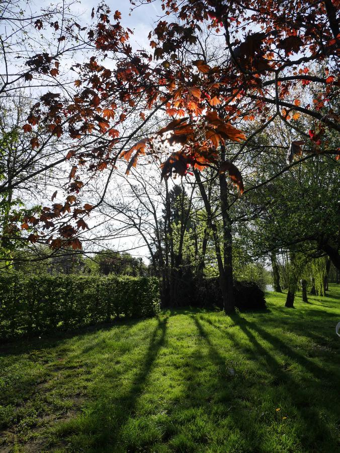 مبيت وإفطار Gorrevod Le Jardin De La Reyssouze المظهر الخارجي الصورة